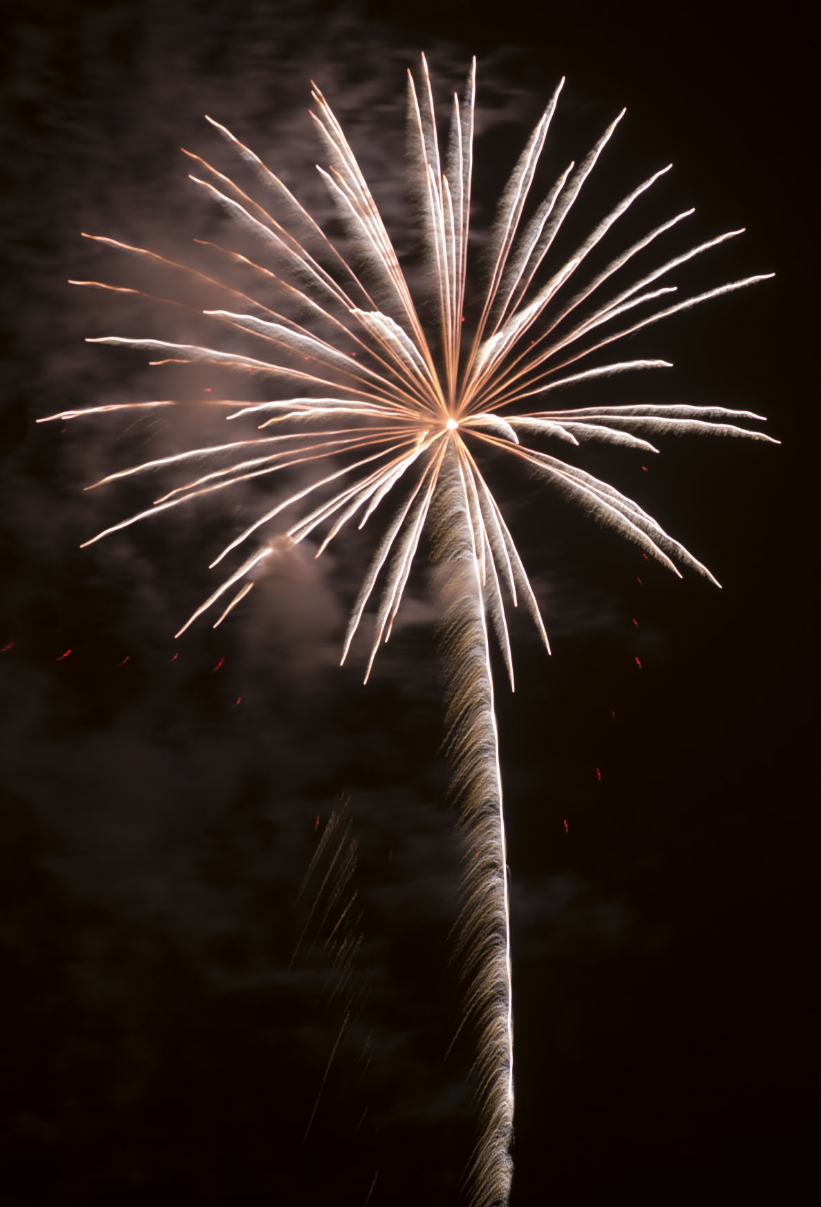 Eagle - July 4